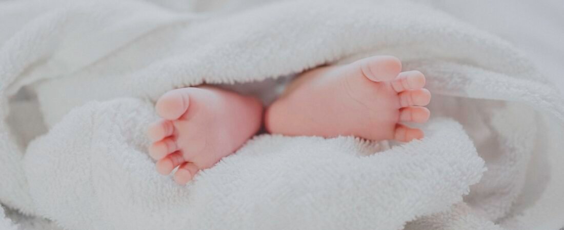 Silicone Owl Rattle Teether Review 2026: Why Your Newborn’s Brain is Hardwired to Stare at This Shape — And What It Means for Their Development